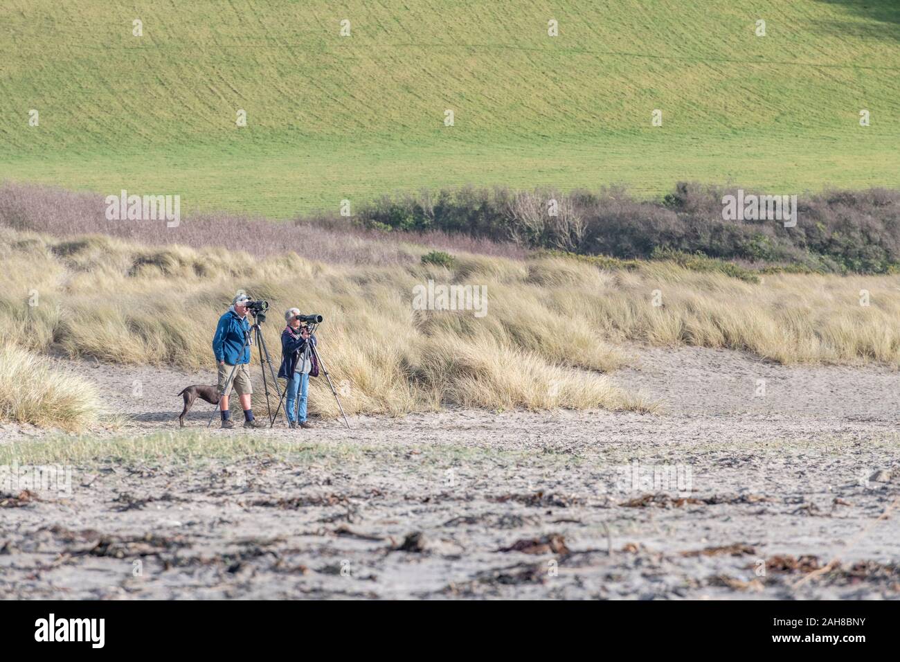 Long shot of a couple of birdwatchers with birding telescopes on Par Beach, Cornwall. Looking out to sea metaphor. Stock Photo