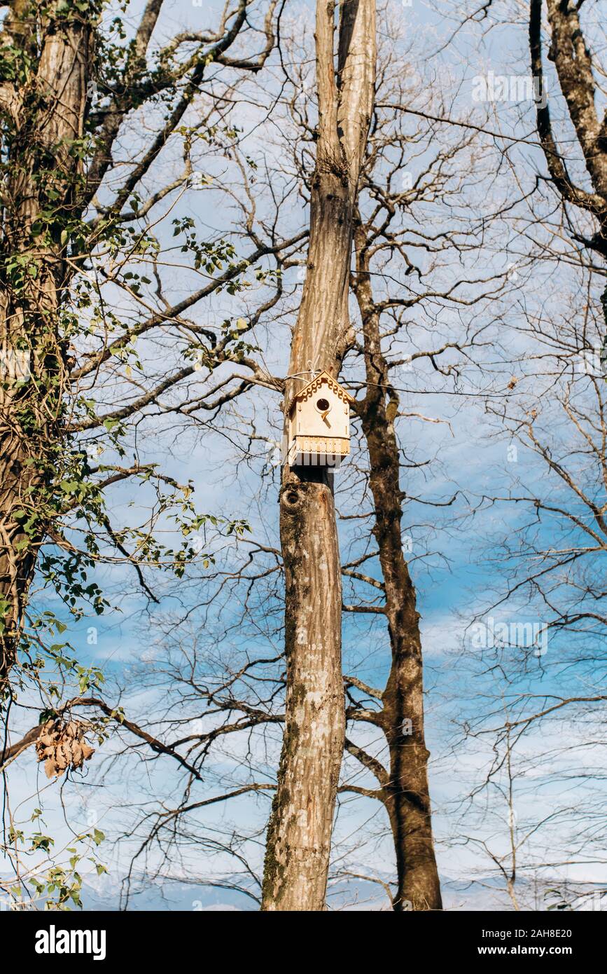 A Bird House in a forest on a tree. The second namebirdhouse Stock