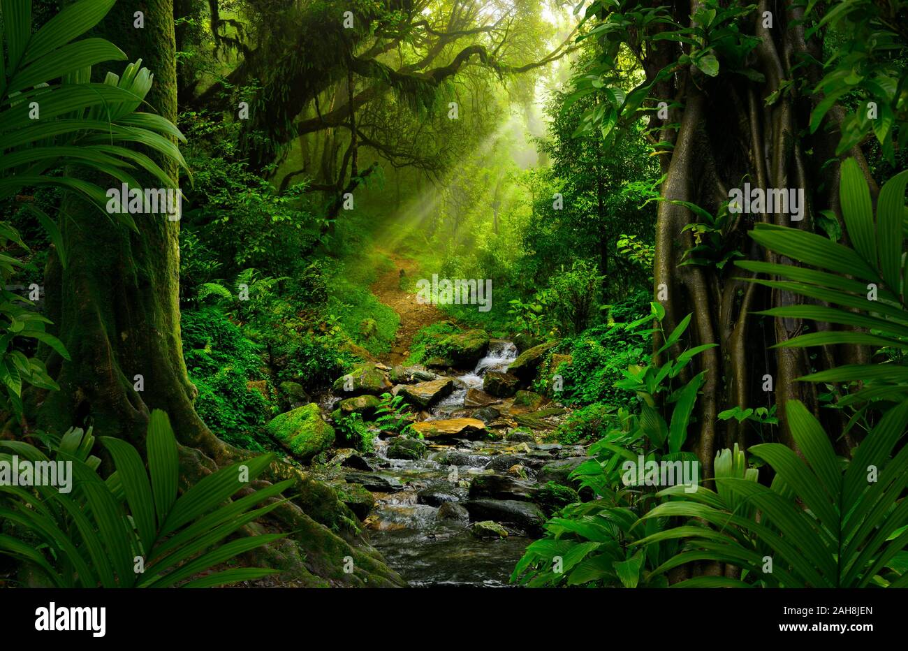 Deep tropical jungles of Southeast Asia in august Stock Photo Alamy