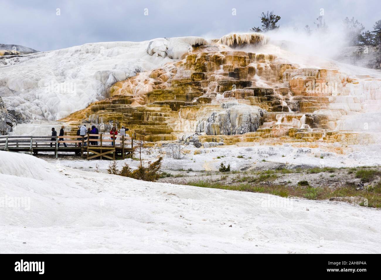 Mammoth Lower Terraces, Yellowstone National Park, Wyoming, United States Stock Photo