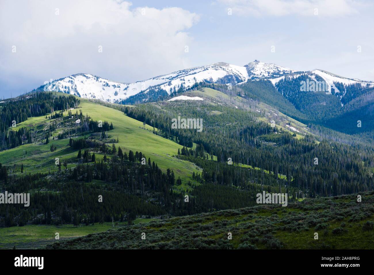 Mount Washburn from Dunraven Pass. Yellowstone National Park, Wyoming, United States Stock Photo