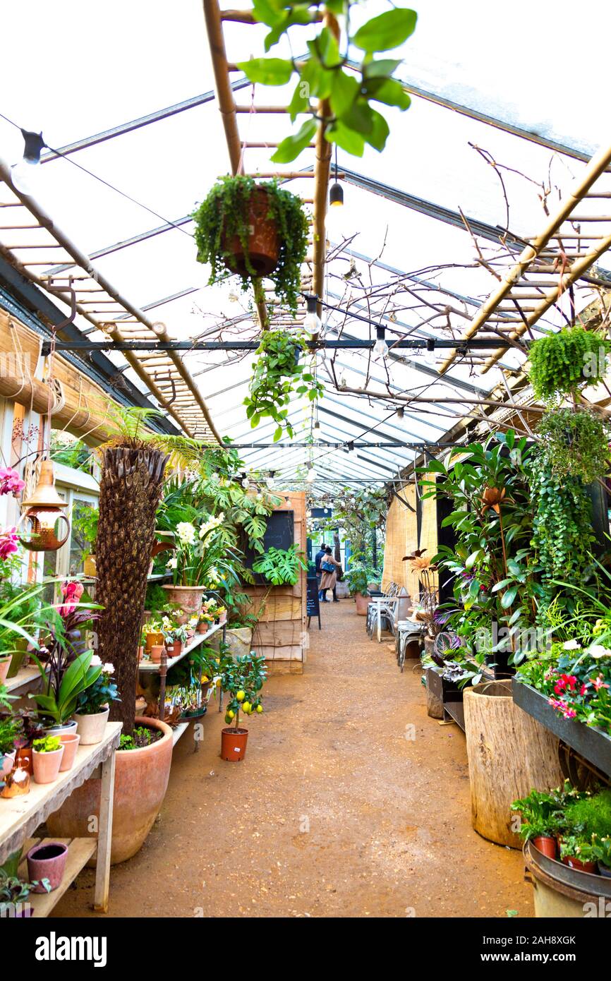 Interior of Petersham Nurseries plant shop, Richmond, London, UK Stock