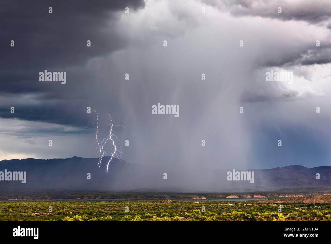 Monsoon thunderstorm lightning bolts strike the Sierra Ancha mountains near Roosevelt Lake, Arizona, USA Stock Photo