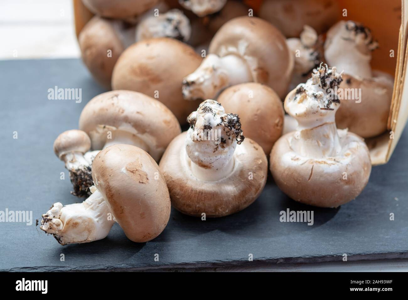 Fresh organic brown chestnut champignons mushrooms with foot from
