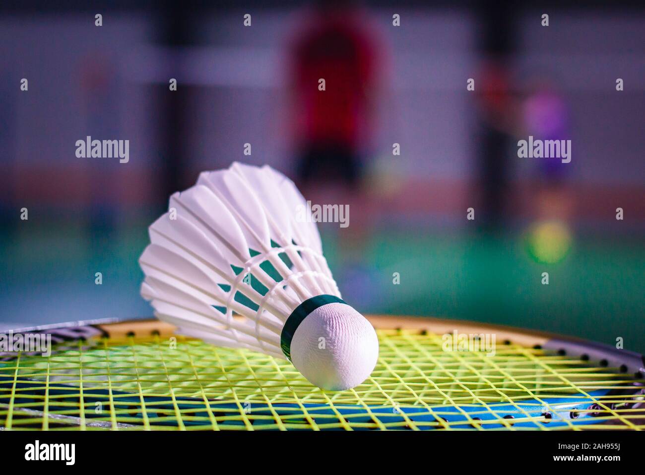 Shuttlecocks and badminton racket on court background. Stock Photo