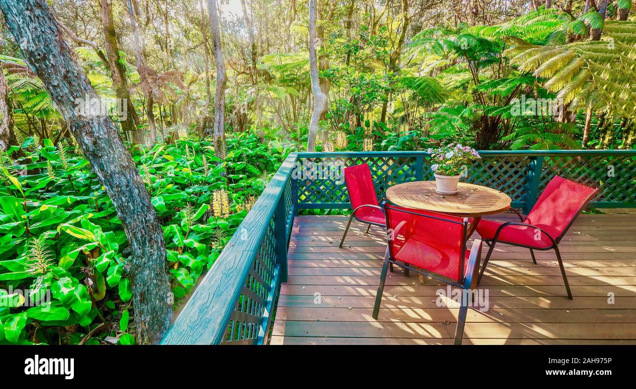 A backyard deck set in a Hawaiian rainforest, surrounded by tree ferns and an invasive introduced species, the kahili ginger (Hedychium gardnerianum). Stock Photo