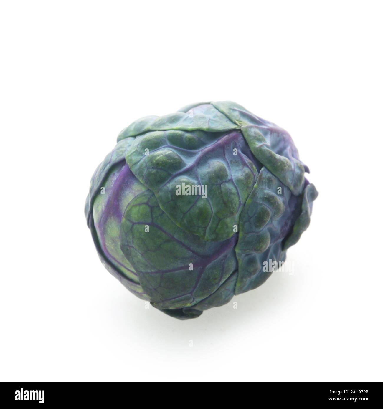 Purple Brussel Sprout Isolated On White Stock Photo Alamy