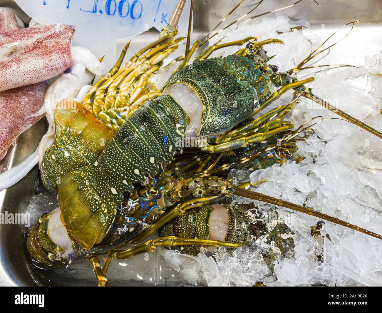 Fresh lobster for sale at frozen seafood stall in supermarket Stock