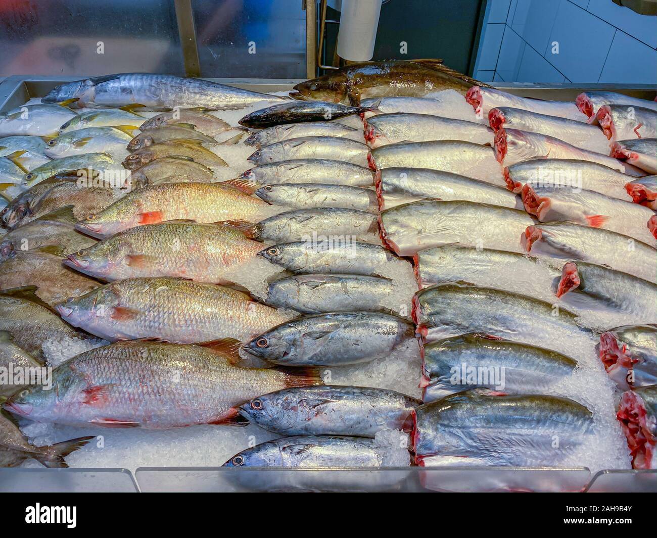 Fresh frozen fish on ice at seafood market Stock Photo Alamy
