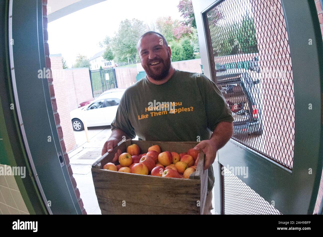 Bigg Riggs Farm owner Calvin Riggleman brought three varieties of apples in several crates to Nottingham Elementary School in Arlington, VA, for a National School Lunch Week event on Wednesday, October 12, 2011. Farmers from Bigg Riggs Farm in Hampshire County, WV, and Maple Avenue Market Farm in Vienna, VA were very popular with the students. Today's menu included roasted chicken, roasted butternut squash with dried cranberries, farm fresh mixed lettuce salad, turkey wraps, pita wedges, hot muffins, carrots, asian pears and more. Stock Photo
