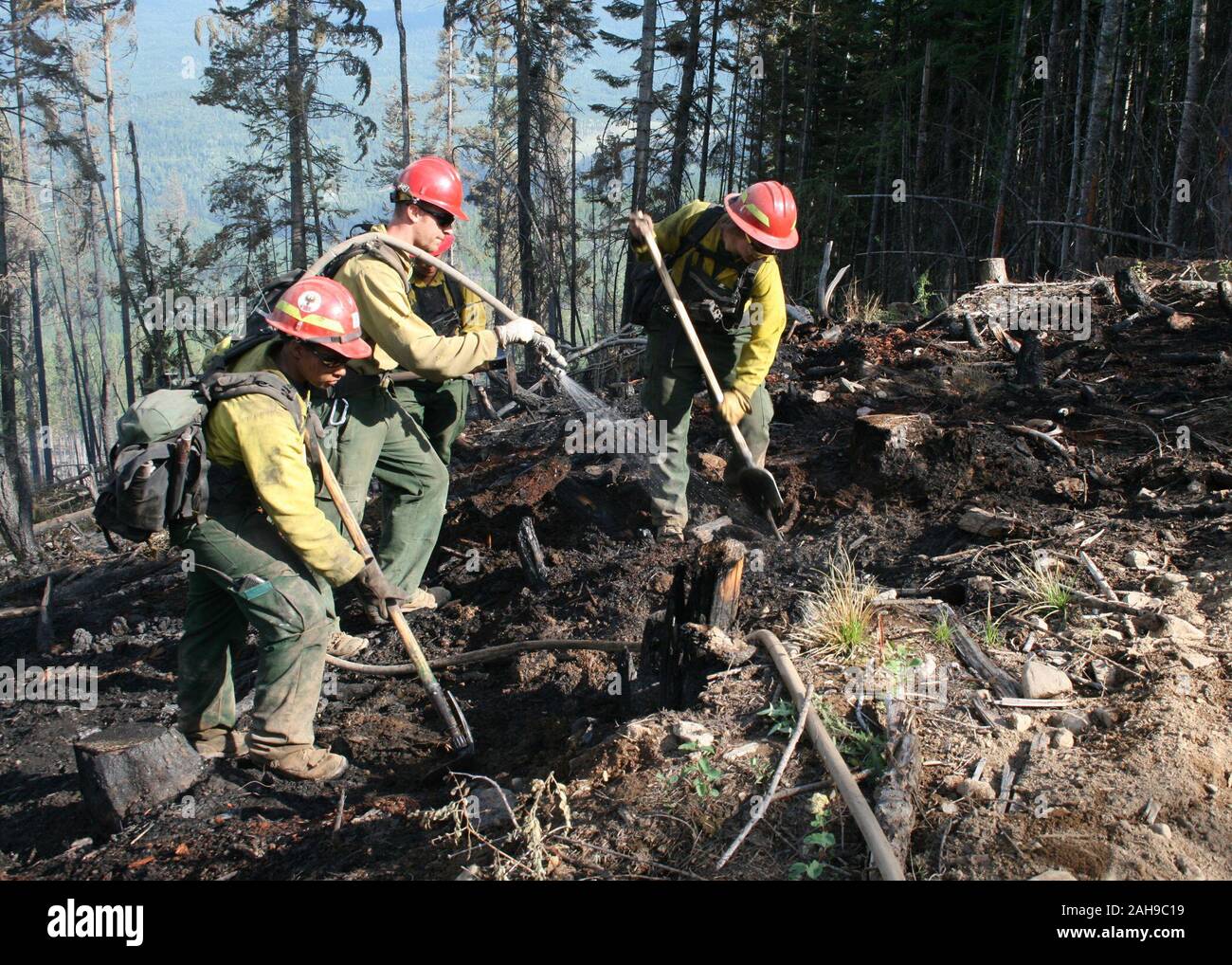98 firefighters with support from three fire engines, two helicopters, two water tenders, a dozer and an air tanker battled to contain the 90 acre Rogers Fire located on Mt. Rogers five miles west of Aladdin, WA on the Coleville National Forest. Firefighters worked under adverse conditions with steep terrain, heavy timber and gusting winds to reduce the loss of timber and protect the Rogers Mountain Trail. The Rogers Fire began on Aug. 9, 2011 and was controlled by Aug. 19, 2011 with mop up crews ensuring that no flare-ups occurRED.  Colville National Forest has 1.1 million acres in northeaste Stock Photo