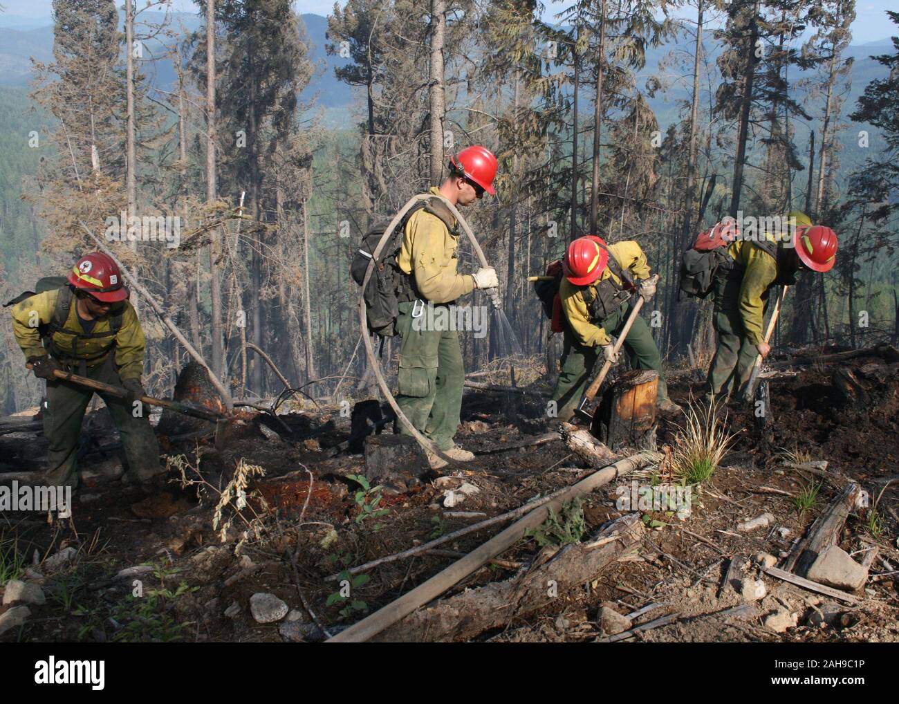 98 firefighters with support from three fire engines, two helicopters, two water tenders, a dozer and an air tanker battled to contain the 90 acre Rogers Fire located on Mt. Rogers five miles west of Aladdin, WA on the Coleville National Forest. Firefighters worked under adverse conditions with steep terrain, heavy timber and gusting winds to reduce the loss of timber and protect the Rogers Mountain Trail. The Rogers Fire began on Aug. 9, 2011 and was controlled by Aug. 19, 2011 with mop up crews ensuring that no flare-ups occurred.  Colville National Forest has 1.1 million acres in northeaste Stock Photo