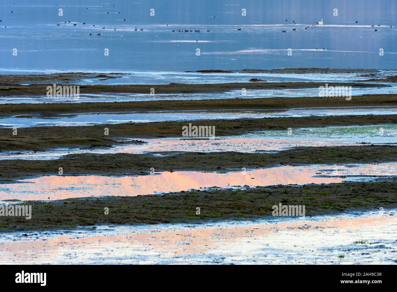 Evening light across the mud flats on thee shore of Lake Prespa near the village of Lemos, in Macedonia, Northern Greece. Stock Photo