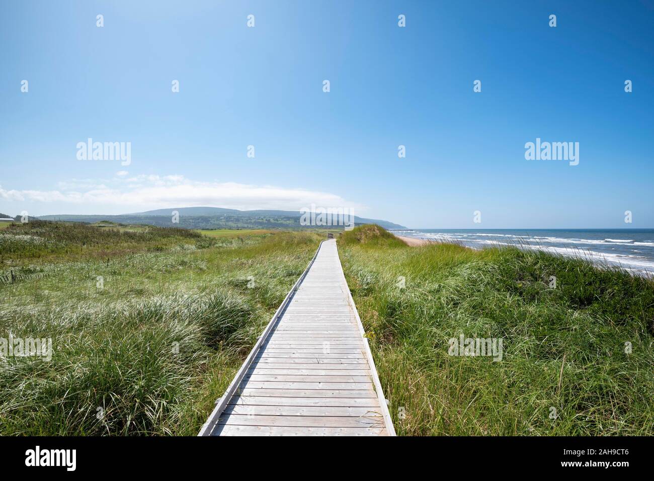 Wooden jetty through dune landscape, Inverness Beach Boardwalk, Cape Breton Island, Nova Scotia, Canada Stock Photo