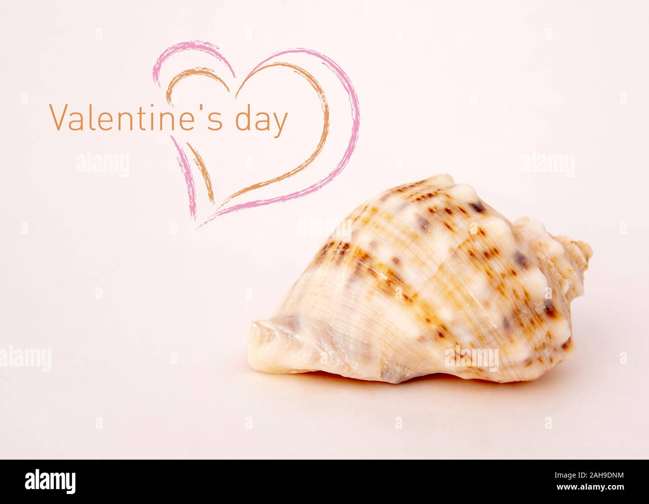 A seashell shaped like a heart and the inscription Valentine's Day  Stock Photo