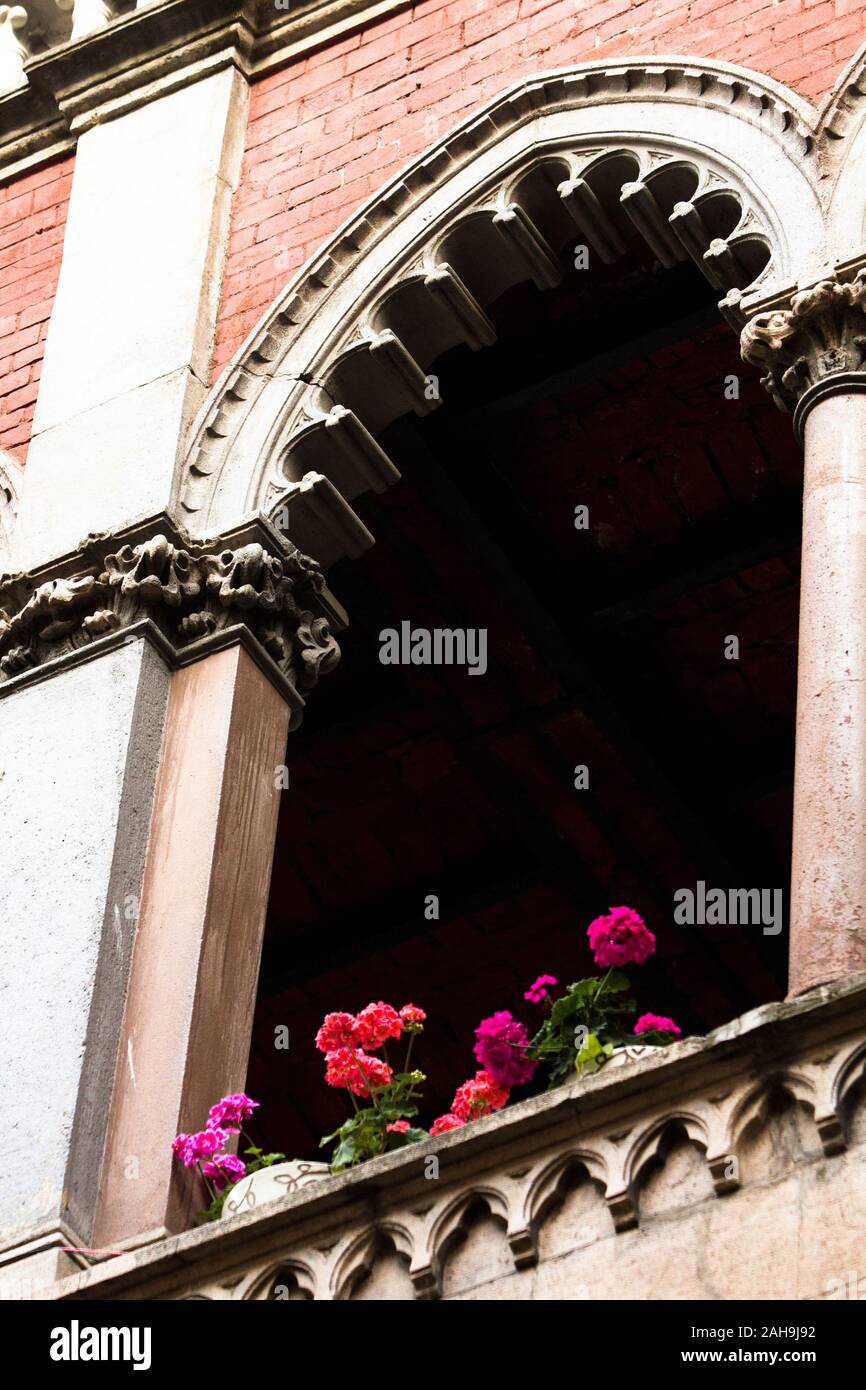 Geranium flowers and an arch of a Venetian neo-gothic style cathedral in a low angle view image. Stock Photo
