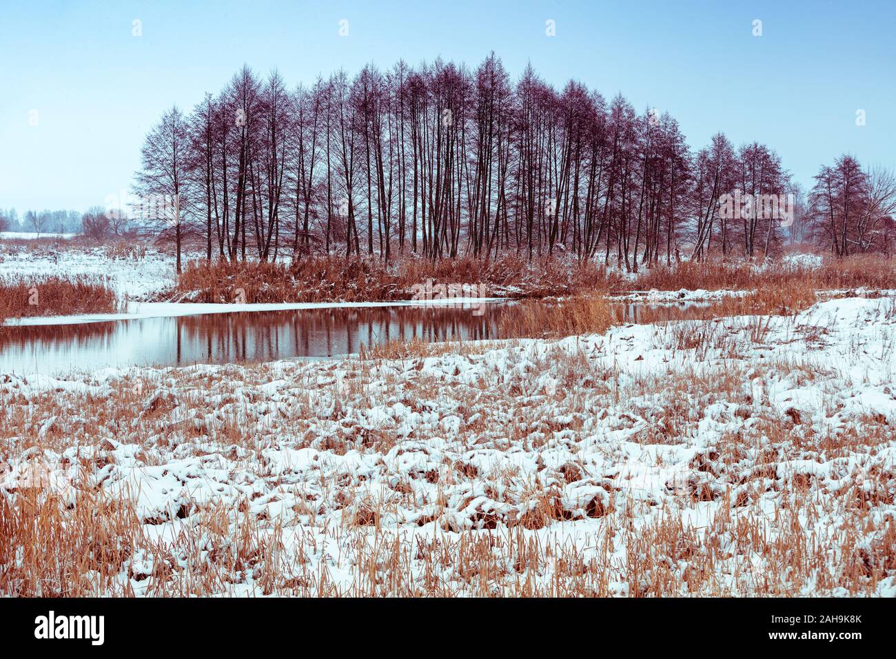 First snow in the field. Winter nature. Nature background Stock Photo