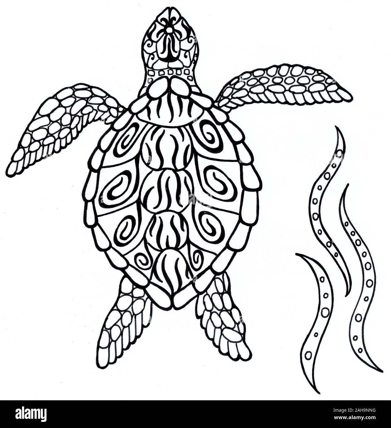 Sea turtle. Spirit Animal. Black and white illustration. Silhouette with patterns Stock Photo - Alamy Sea turtle. Spirit Animal. Black and white illustration. Silhouette with patterns Stock Photo - Alamy
