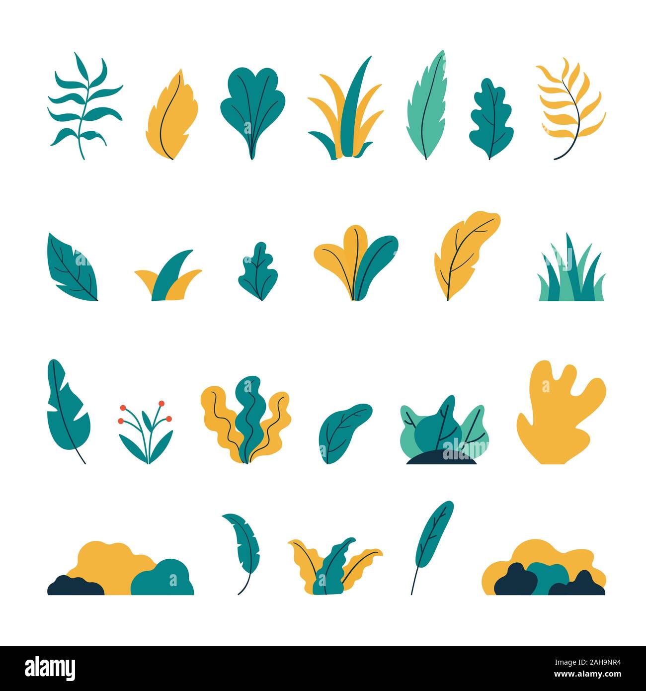 Exotic plants. Set of vector hand drawn flat botanical compositions ...
