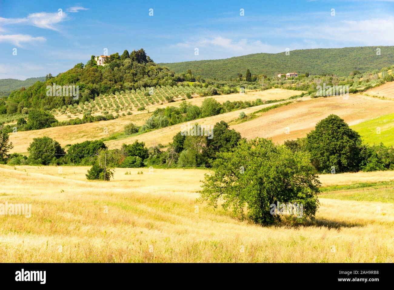 Beautiful view of sunny hills in springtime near Massa Marittima in Tuscany, Italy Stock Photo