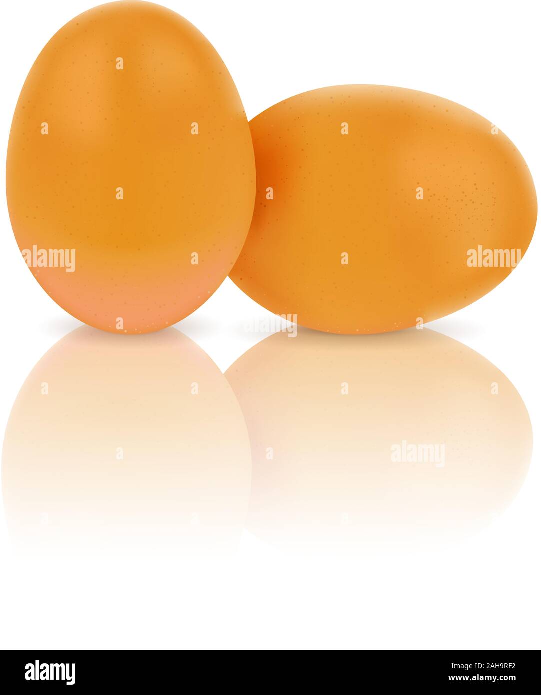Chicken eggs on white background with reflection. Vector illustration. Stock Vector