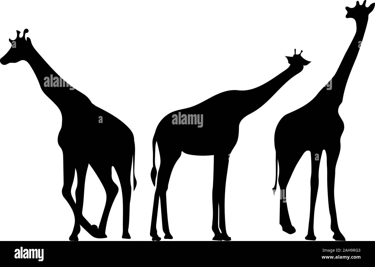 Giraffes. Back silhouettes Stock Vector