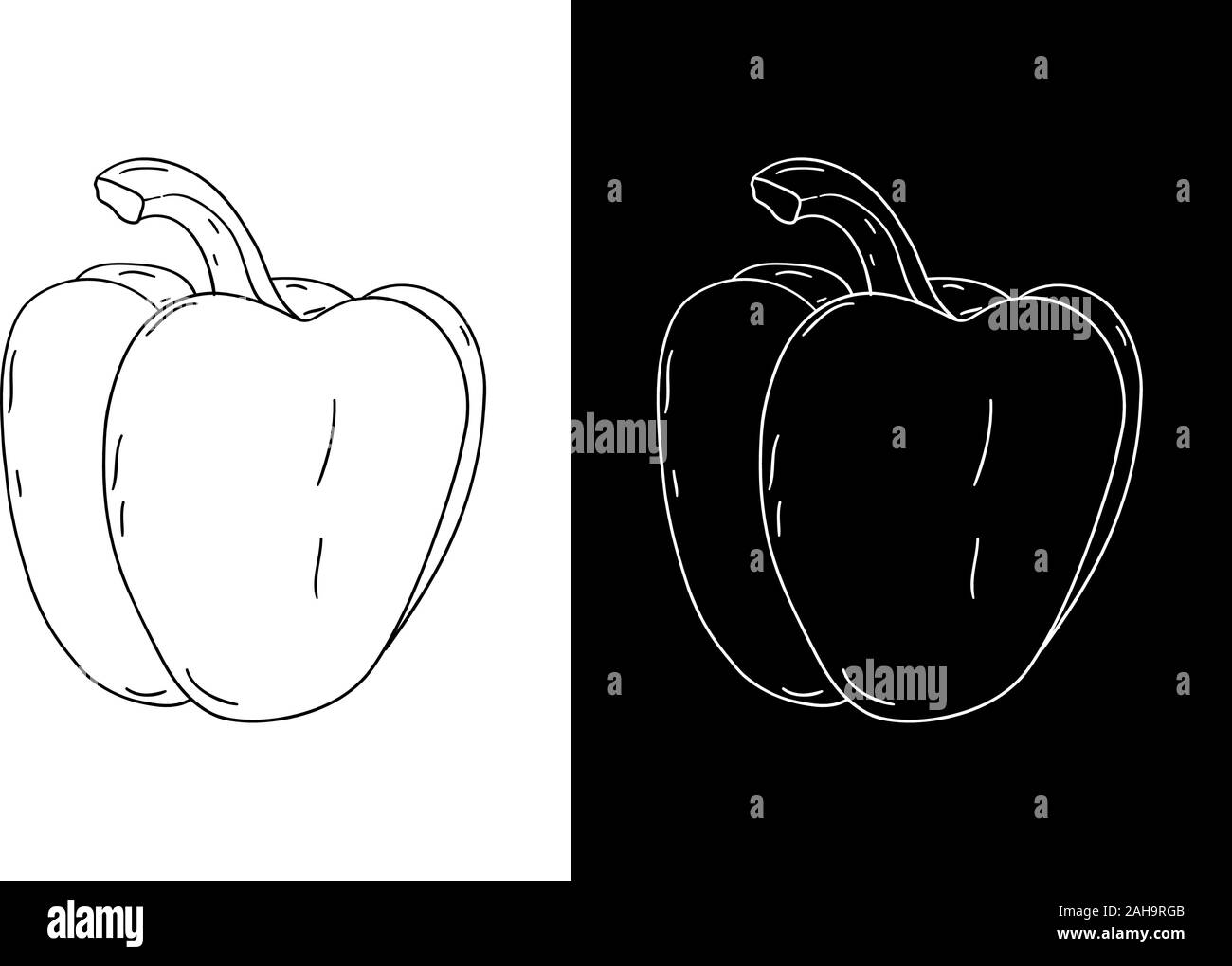 Bell pepper. Hand drawn sketch. Vector illustration. Stock Vector
