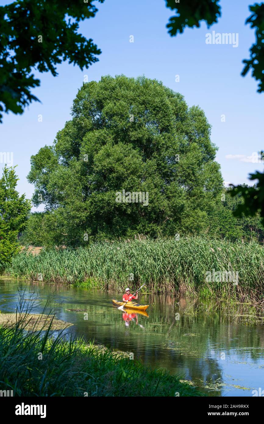 Kayaker paddling on the river Spree between Fürstenwalde, Hangelsberg and Erkner, Brandenburg, Germany Stock Photo