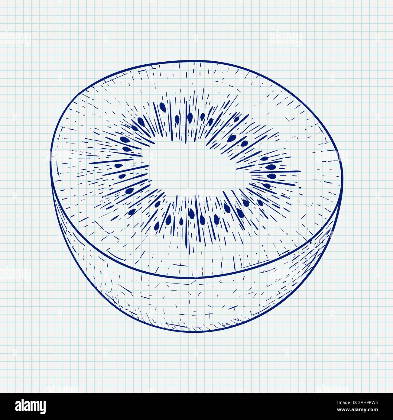 Kiwi. Hand drawn sketch on notebook sheet background Stock Vector