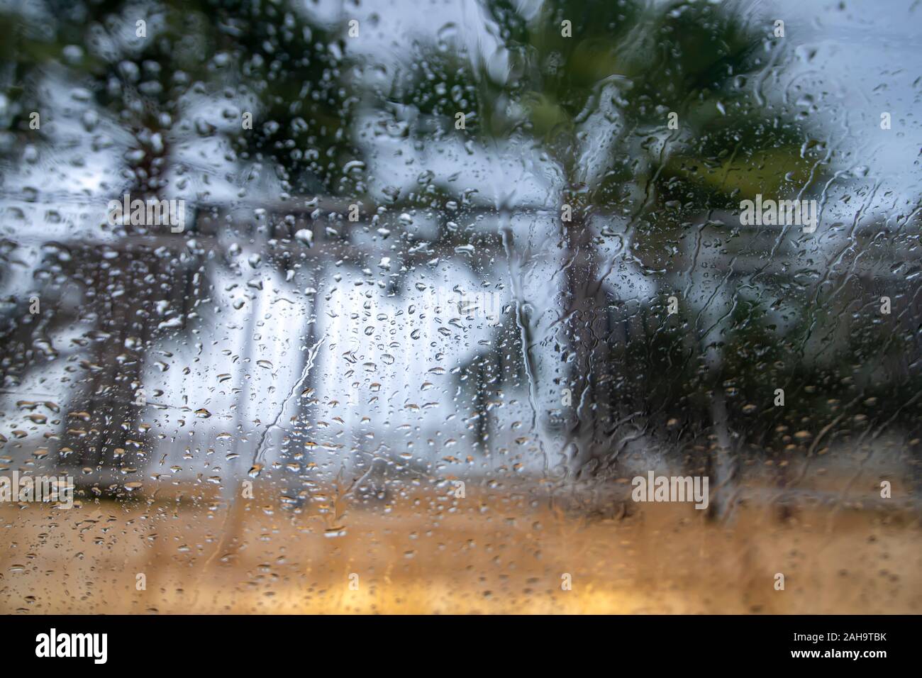 Palm trees in the wind through the glass with raindrops close up Stock Photo