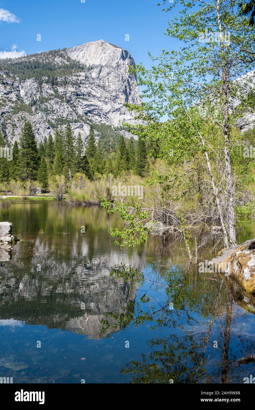 Mirror Lake reflection, Yosemite national park, USA Stock Photo - Alamy
