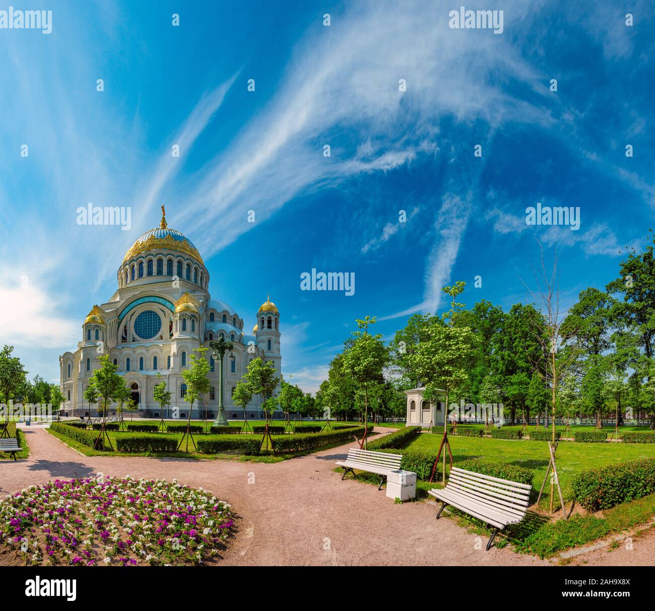 My Image 24