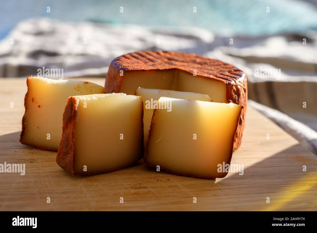 Cheese collection, piece of Spanish manchego cheese made from cow milk with red paprika close up