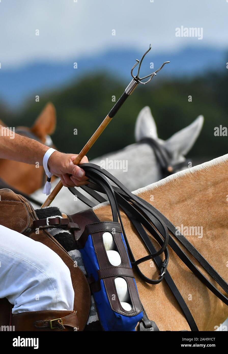 Horse polo rider close up. Details of the equipment balls, mallet