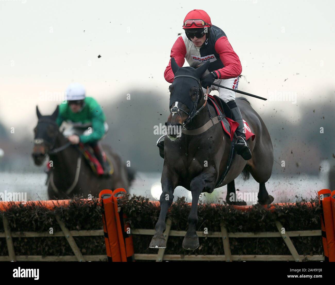 Horse thyme white hires stock photography and images Alamy