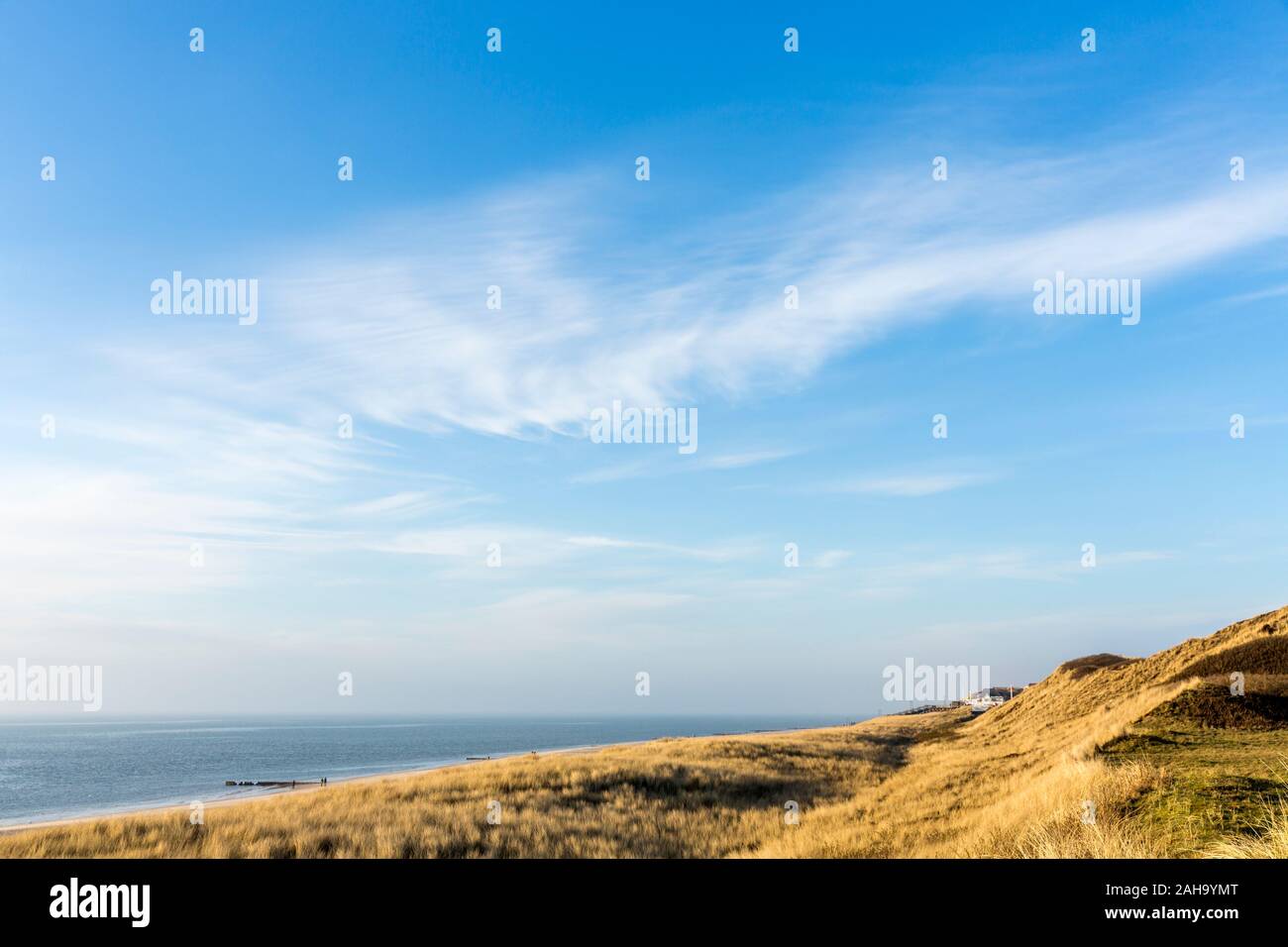Duene, Duenengras, Strand, Spaziergaenger, Meer, Wenningstedt, Sylt Stock Photo