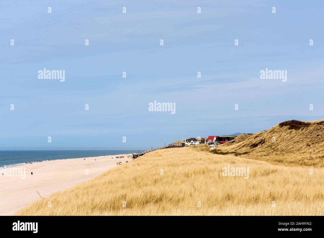 Duene, Duenengras, Strand, Spaziergaenger, Meer, Wenningstedt, Sylt Stock Photo