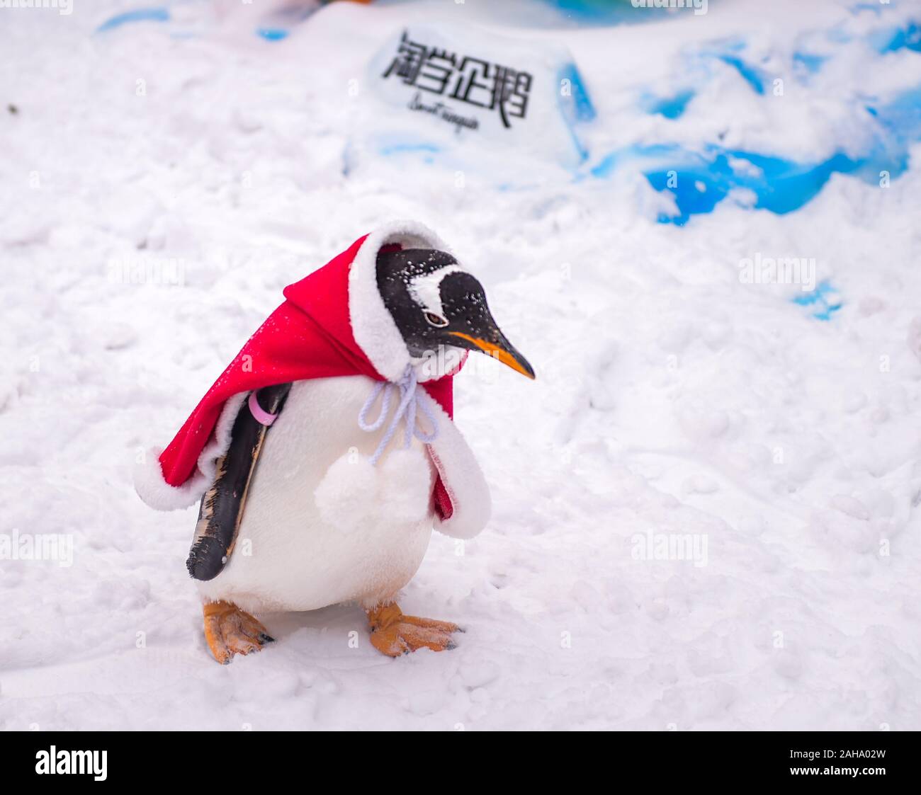 Penguins in Tang Suit show on Harbin Central Street - Xinhua