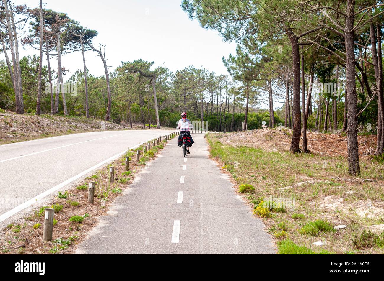 woman cycles on the Eurovelo 1 Atlantic coast route Near Nazare in central  Portugal. This cycling path runs along the Atlantic ocean Stock Photo