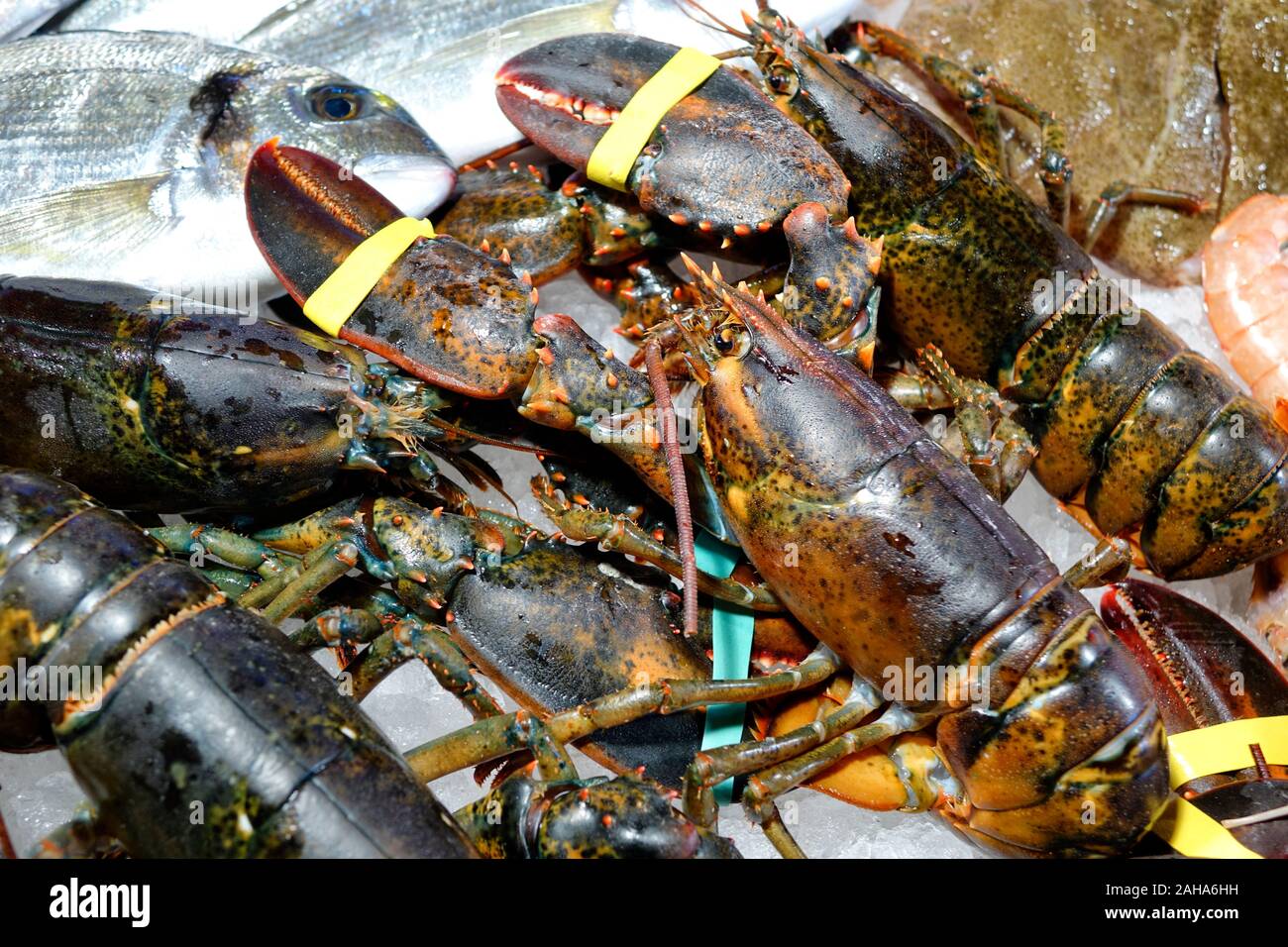 Fresh shellfish seafood on ice for the open market in close up top view format Stock Photo
