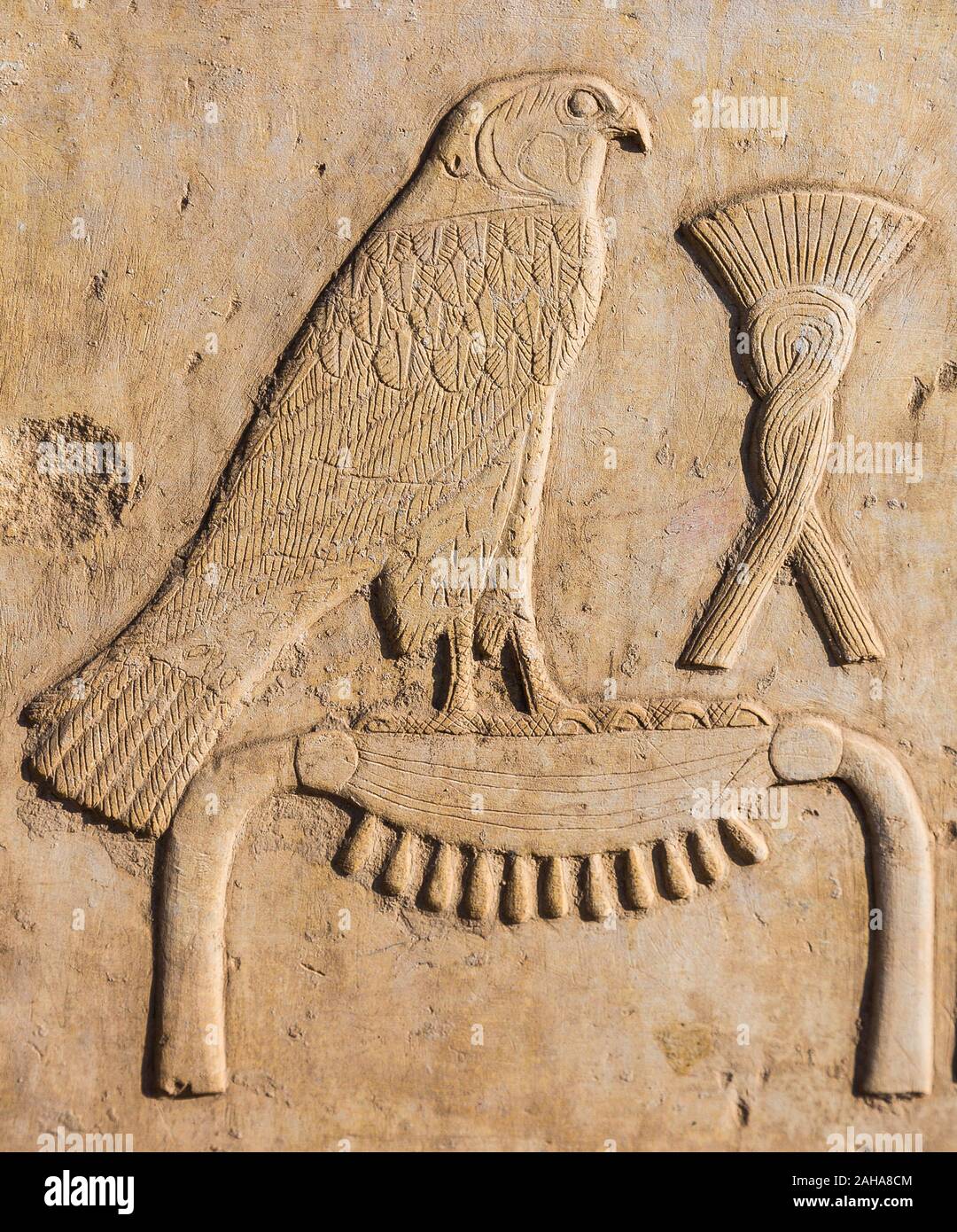 UNESCO World Heritage, Thebes in Egypt, Karnak temple, Open Air Museum, a relief depicting the names of a king. The hawk symbolizes the god Horus. Her Stock Photo