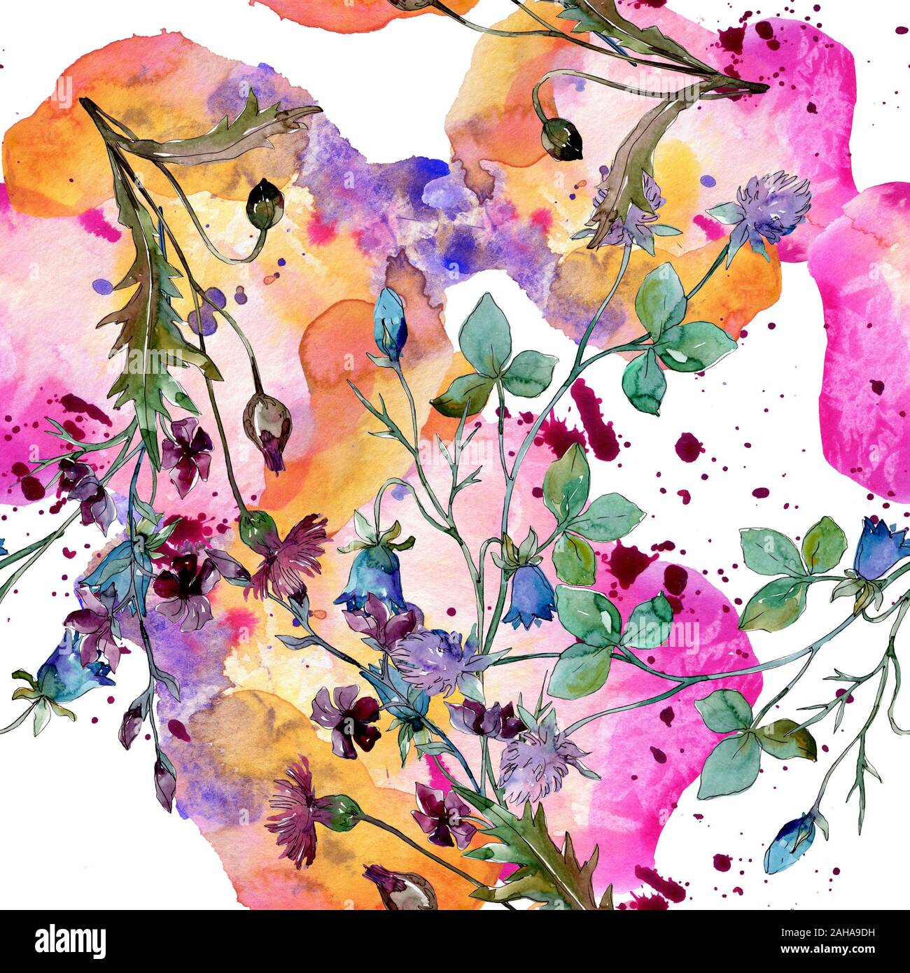 Wildflowers floral botanical flowers. Wild spring leaf wildflower ...