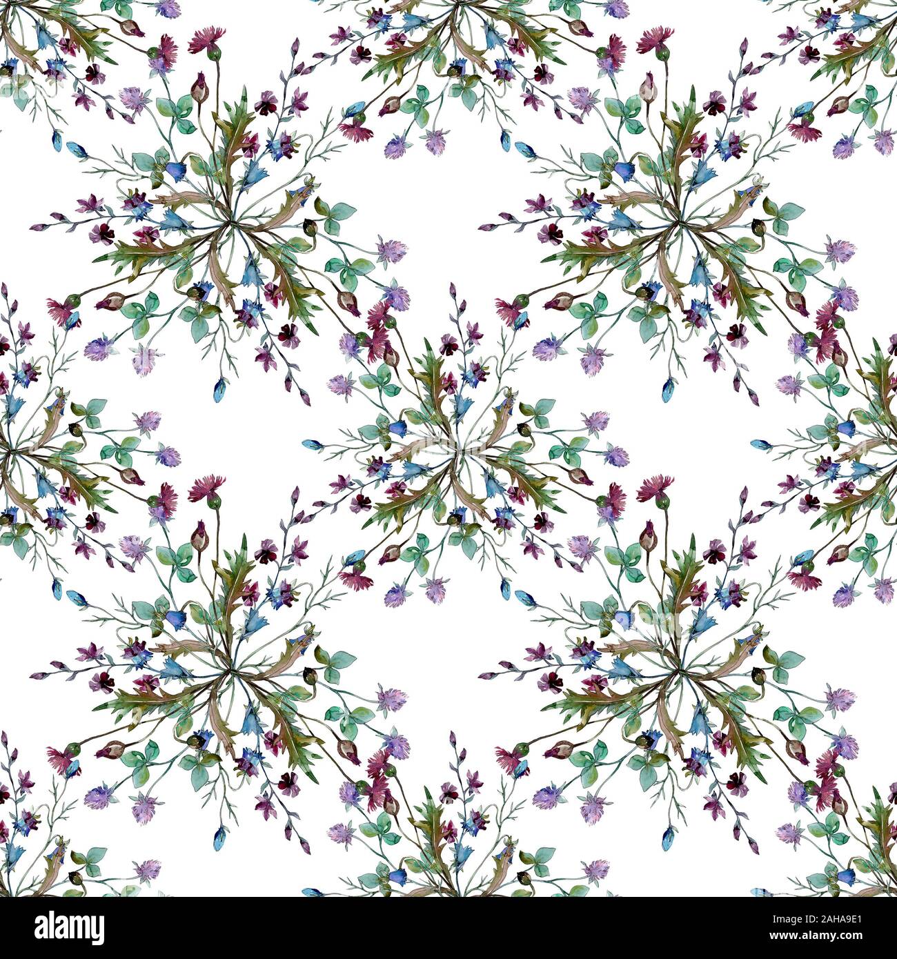 Wildflowers floral botanical flowers. Wild spring leaf wildflower ...