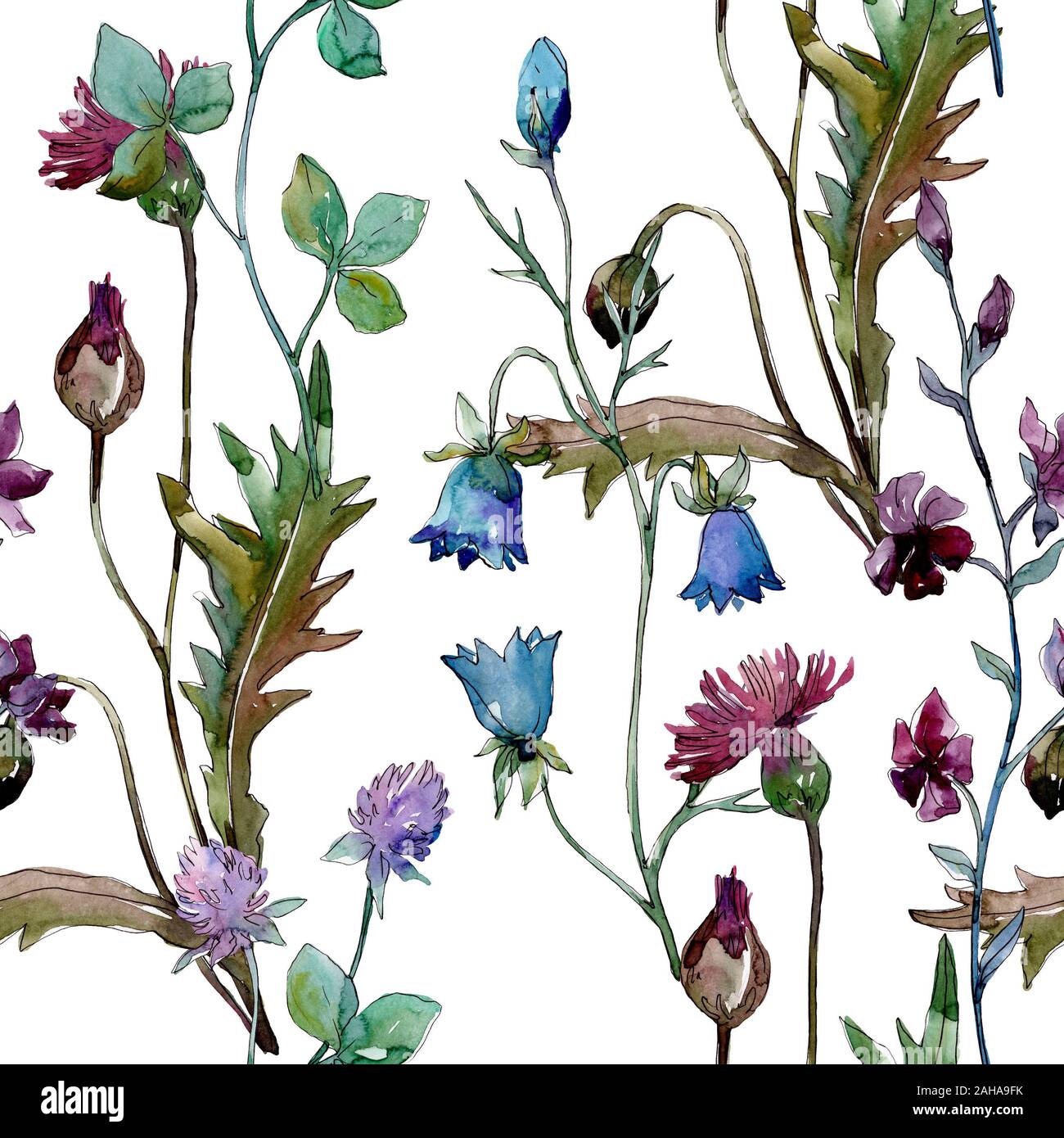 Wildflowers floral botanical flowers. Wild spring leaf wildflower ...