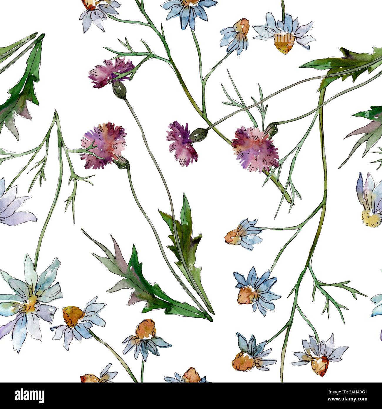 Wildflowers floral botanical flowers. Wild spring leaf wildflower ...