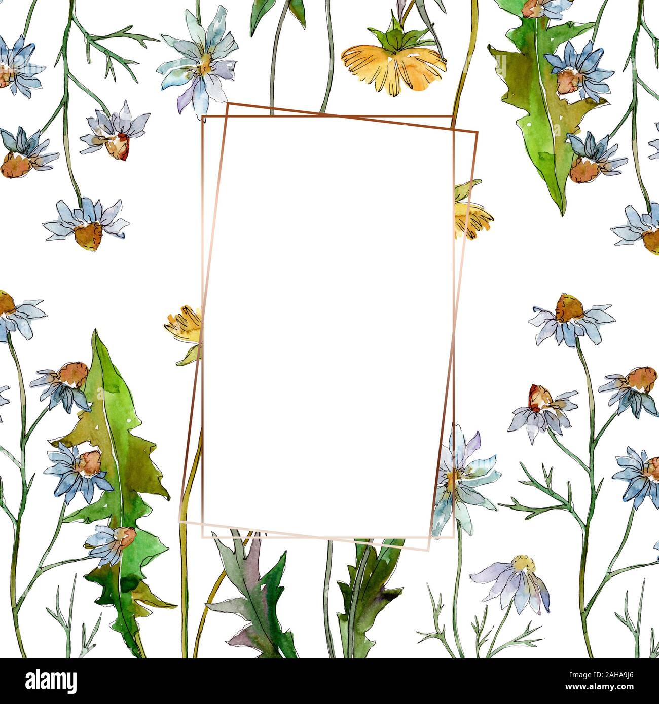 Wildflowers floral botanical flowers. Wild spring leaf wildflower ...