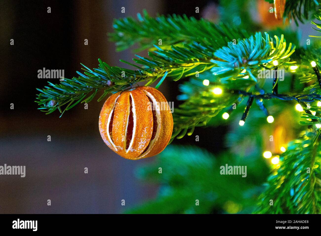 Plastic-free Christmas tree decorations, dried clementines on a Christmas tree Stock Photo