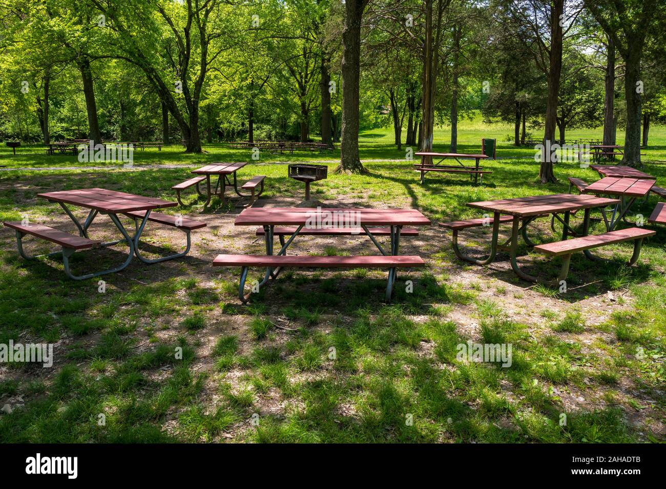 A wideangle photo of picnic tables in Fairfax Park Virginia arranged