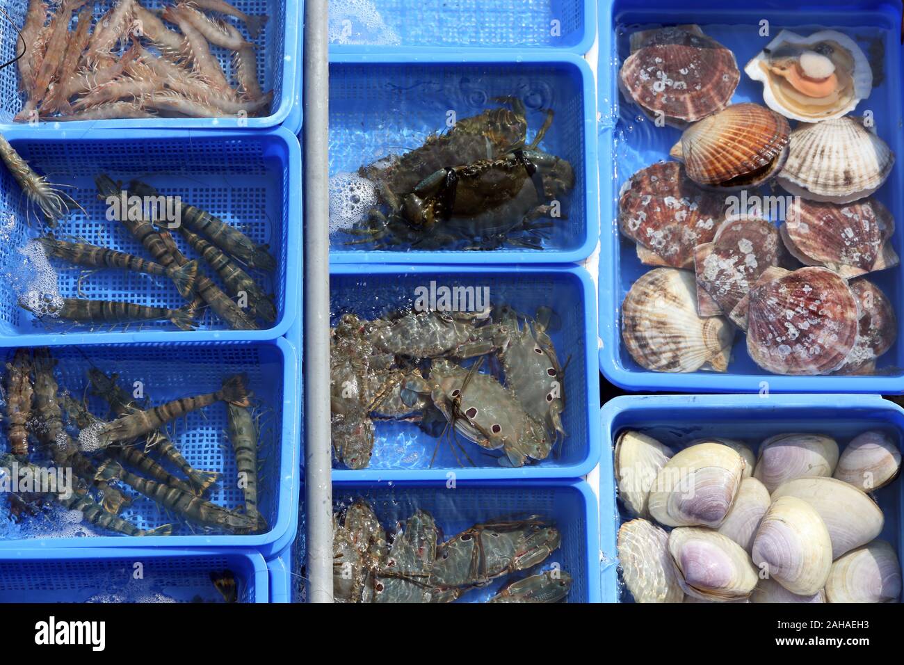 09.12.2017, Hong Kong, Hong Kong, China - Mussels, crabs and shrimps in water basins at the fish market in Lei Yue Mun. 00S171209D156CAROEX.JPG [MODEL Stock Photo