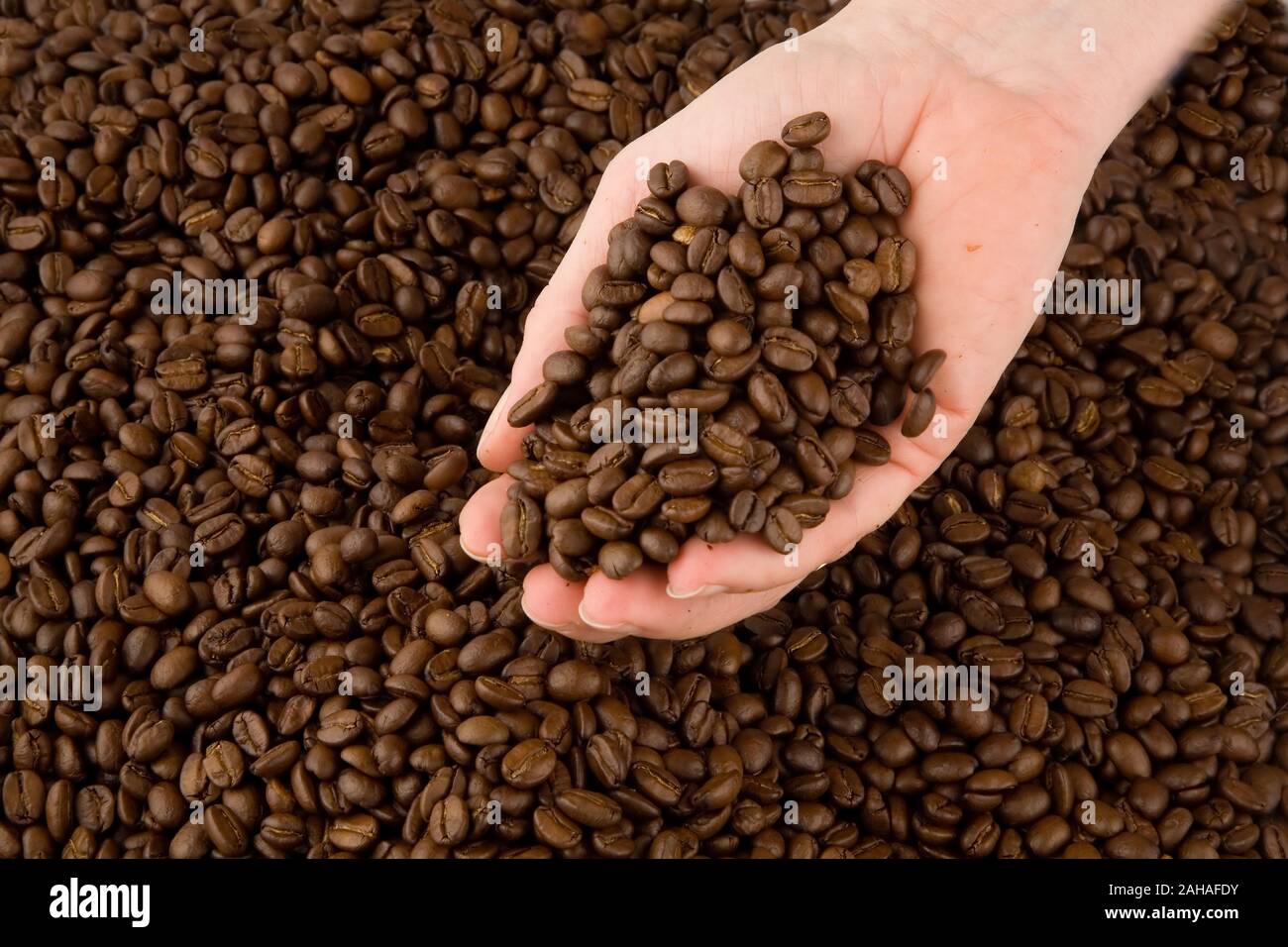 Kaffeebohnen, Kaffee, Coffee beans, Stock Photo